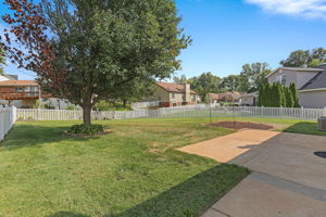 Yard