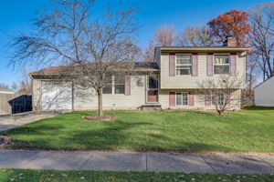 Chauncey Dr-003
