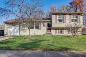 Chauncey Dr-004