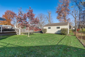 Chauncey Dr-050