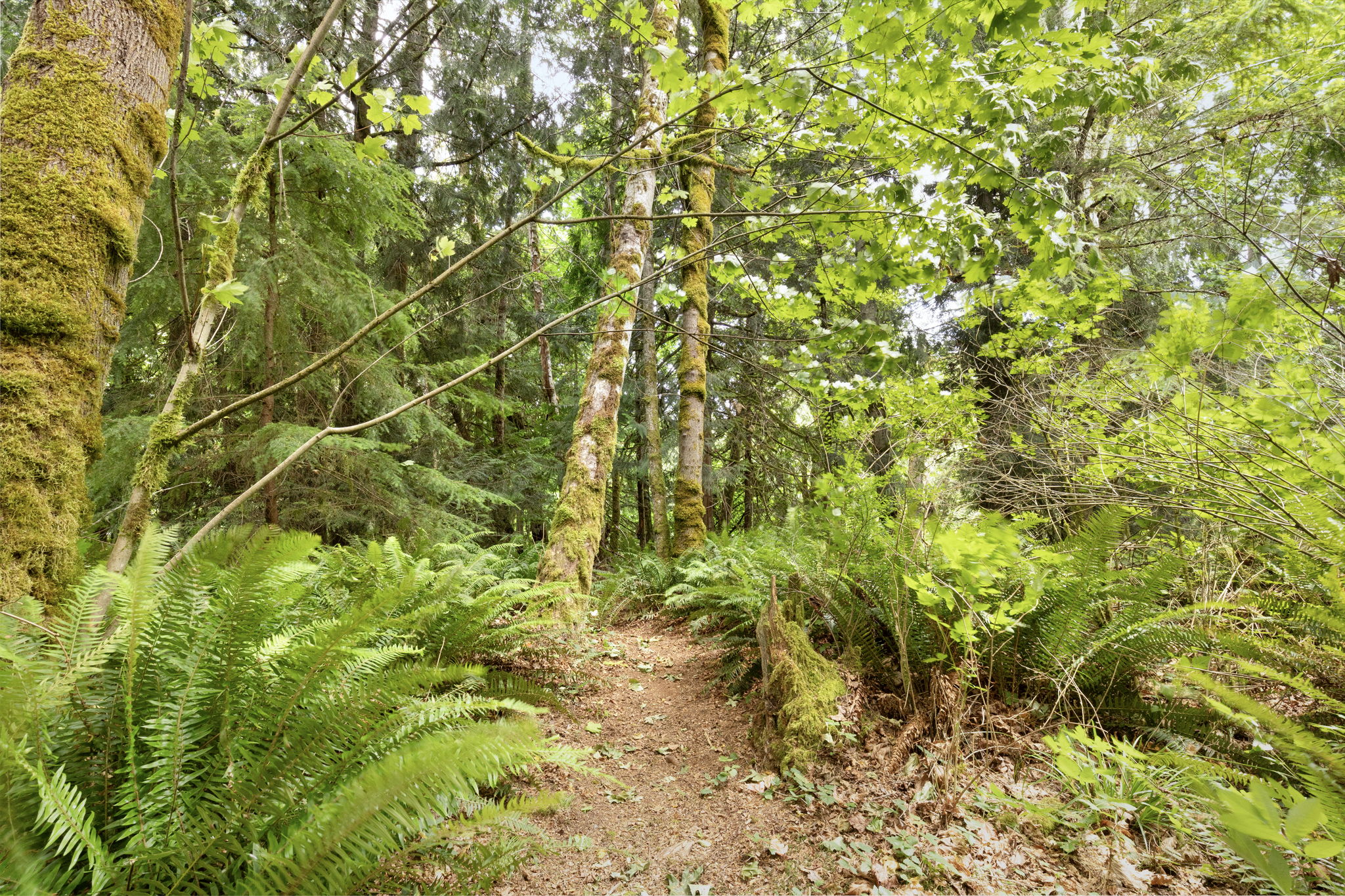  Photo 43