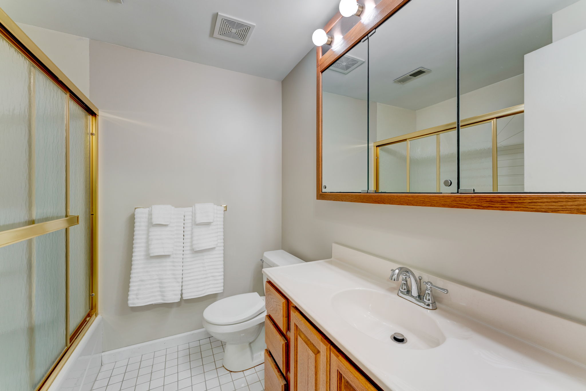 Lower Level - Bathroom