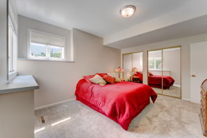 Lower Level - Bedroom
