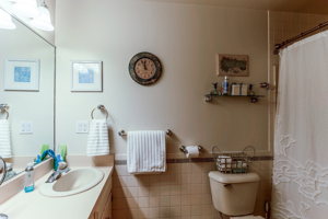 17 bathroom_