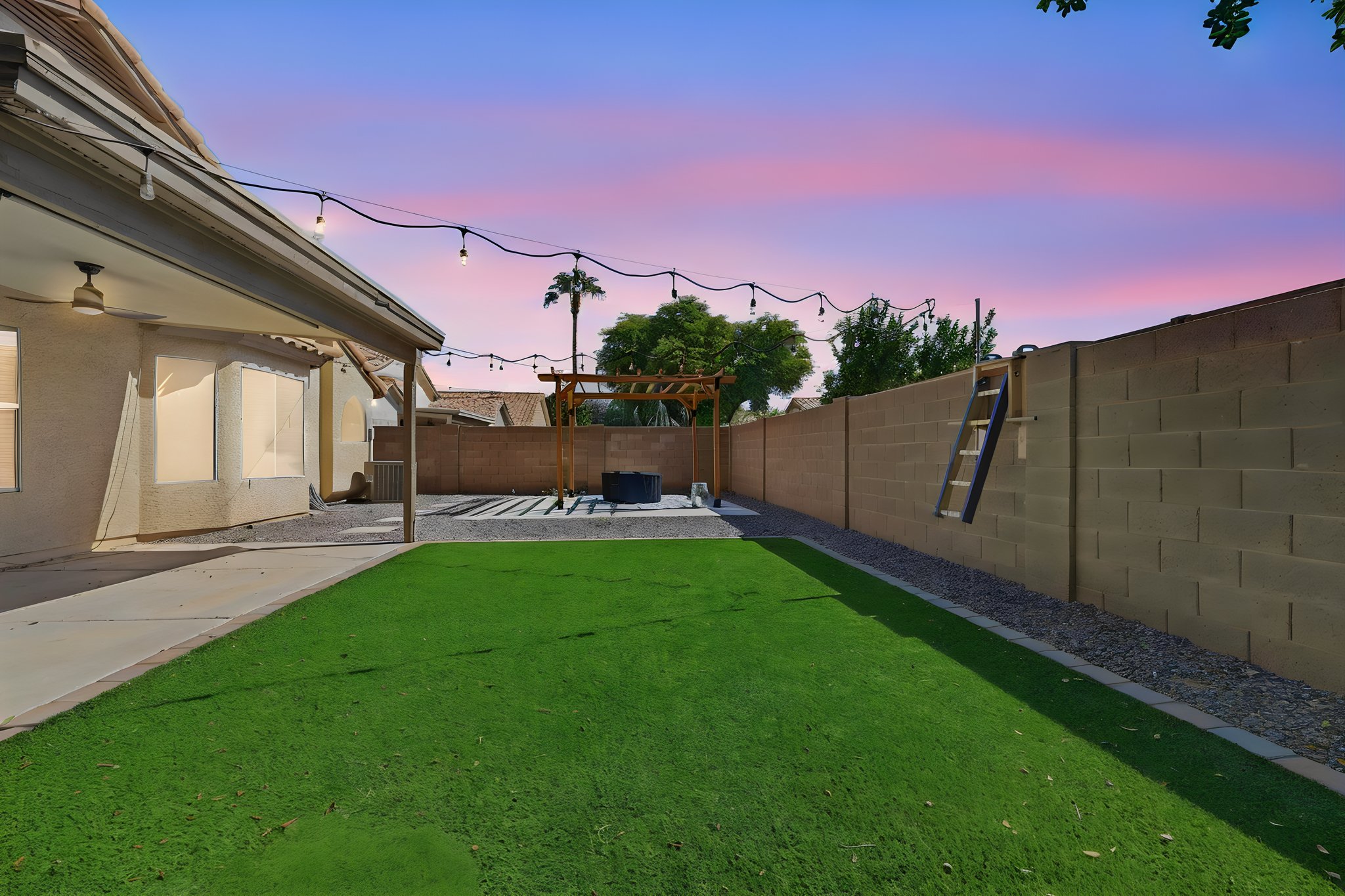 Back Yard