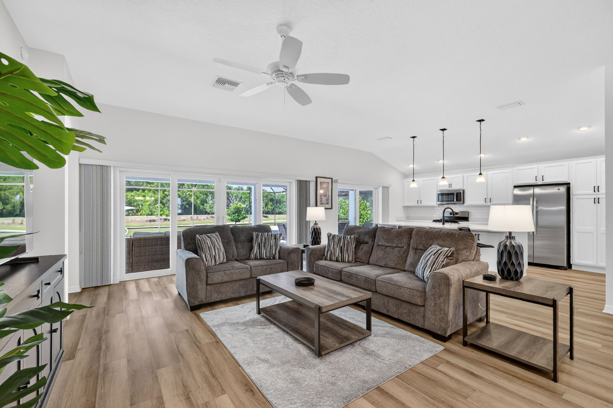 Living Room and Kitchen