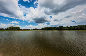 Walking Trail and Water View17