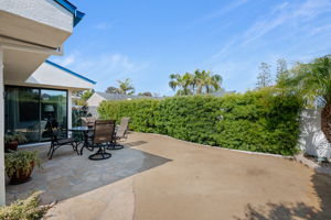 19 - Back Yard
