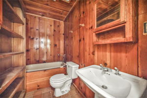  Photo 47