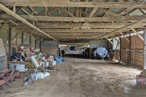  Photo 46