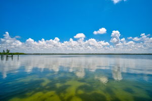 6875 Manasota Key Rd-71