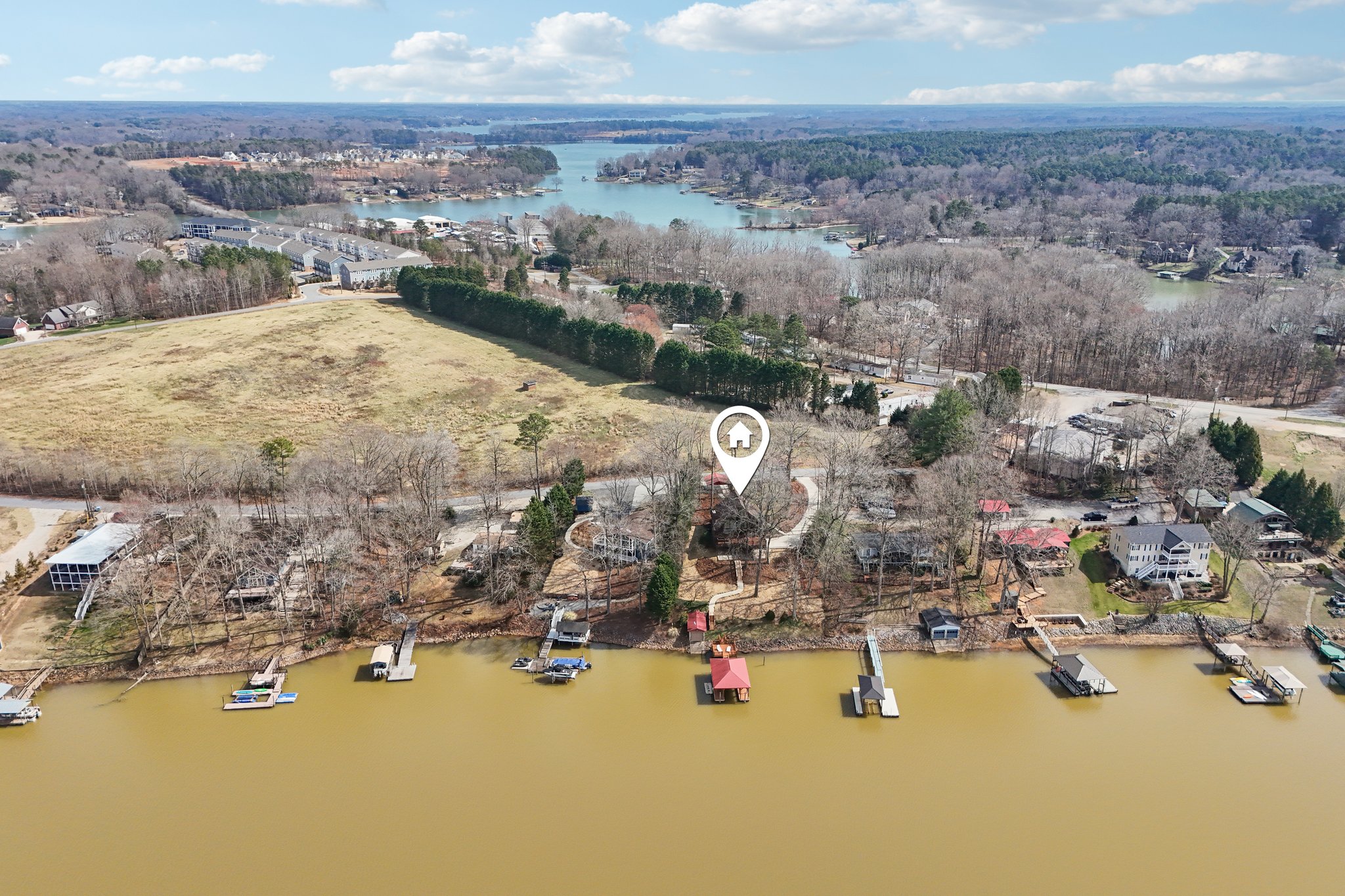 Shade Tree Ln-L0503-050.jpg