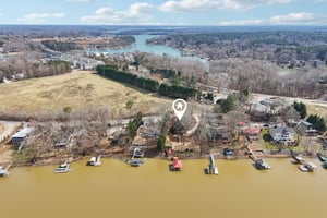 Shade Tree Ln-L0503-050.jpg