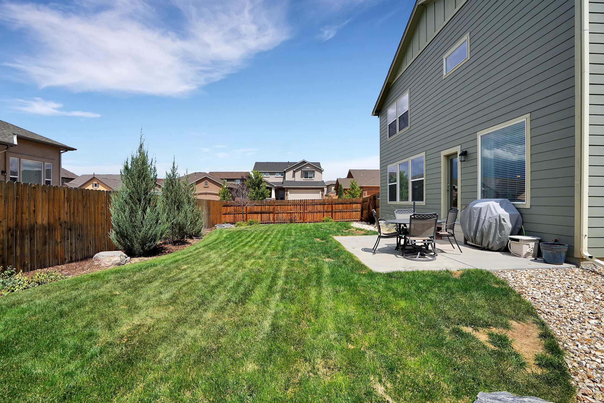 Back Yard