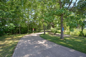  Photo 0