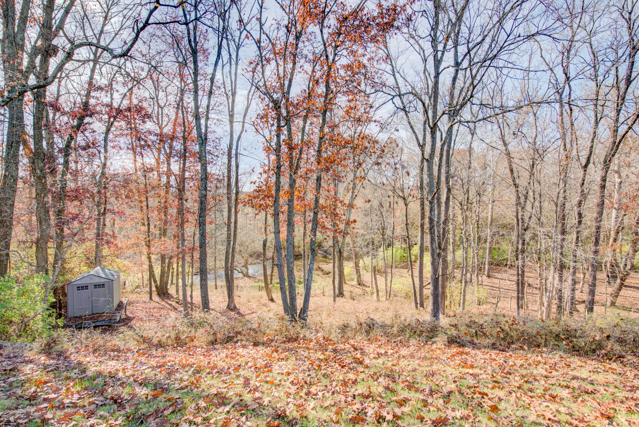 34 Backyard