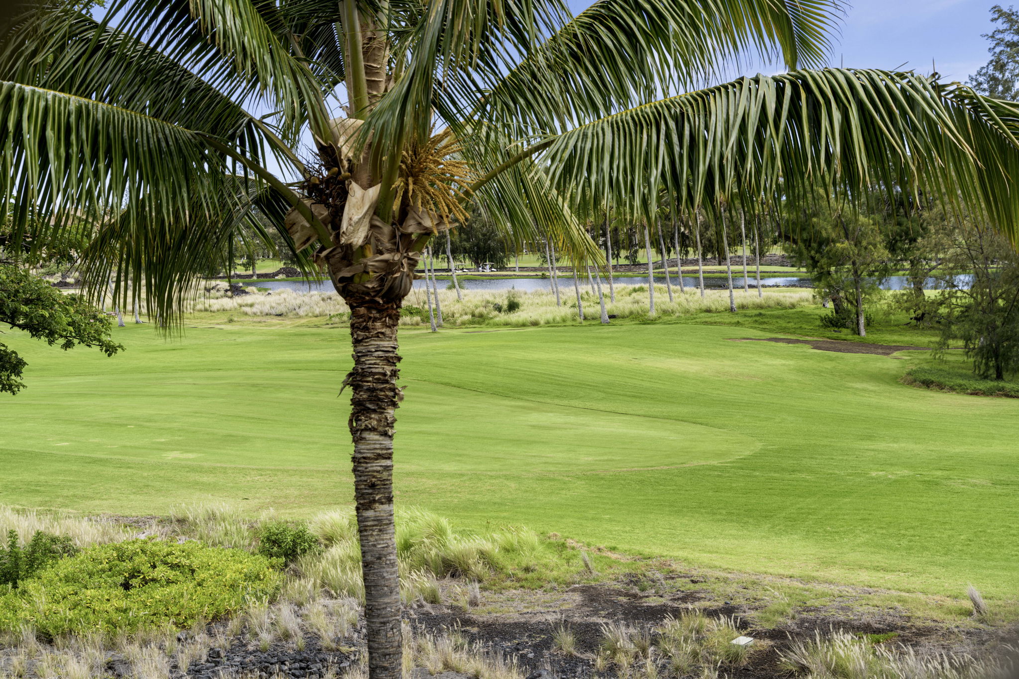 Lanai Views 2 Pond