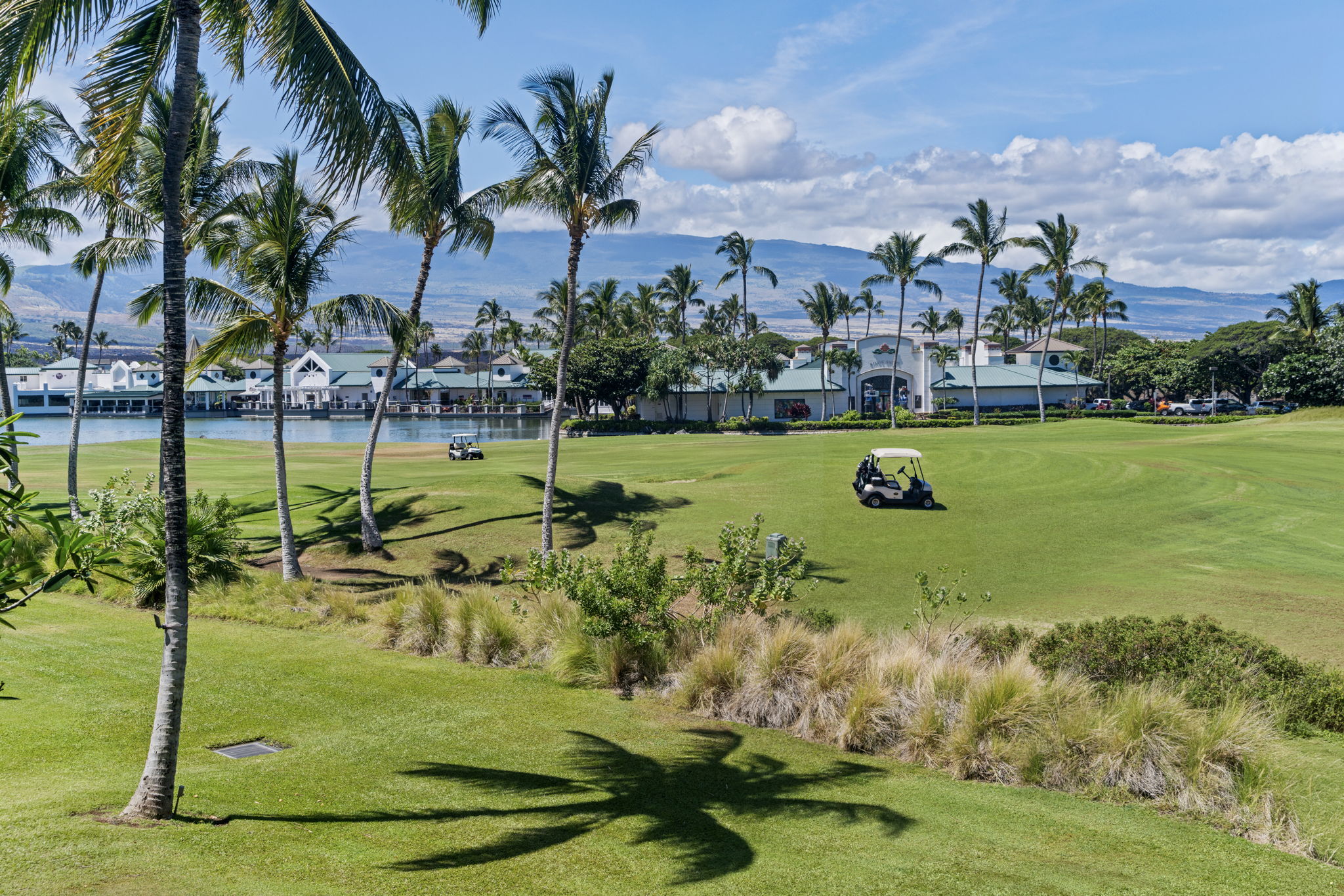 Lanai Views 1