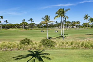 Lanai Views 2