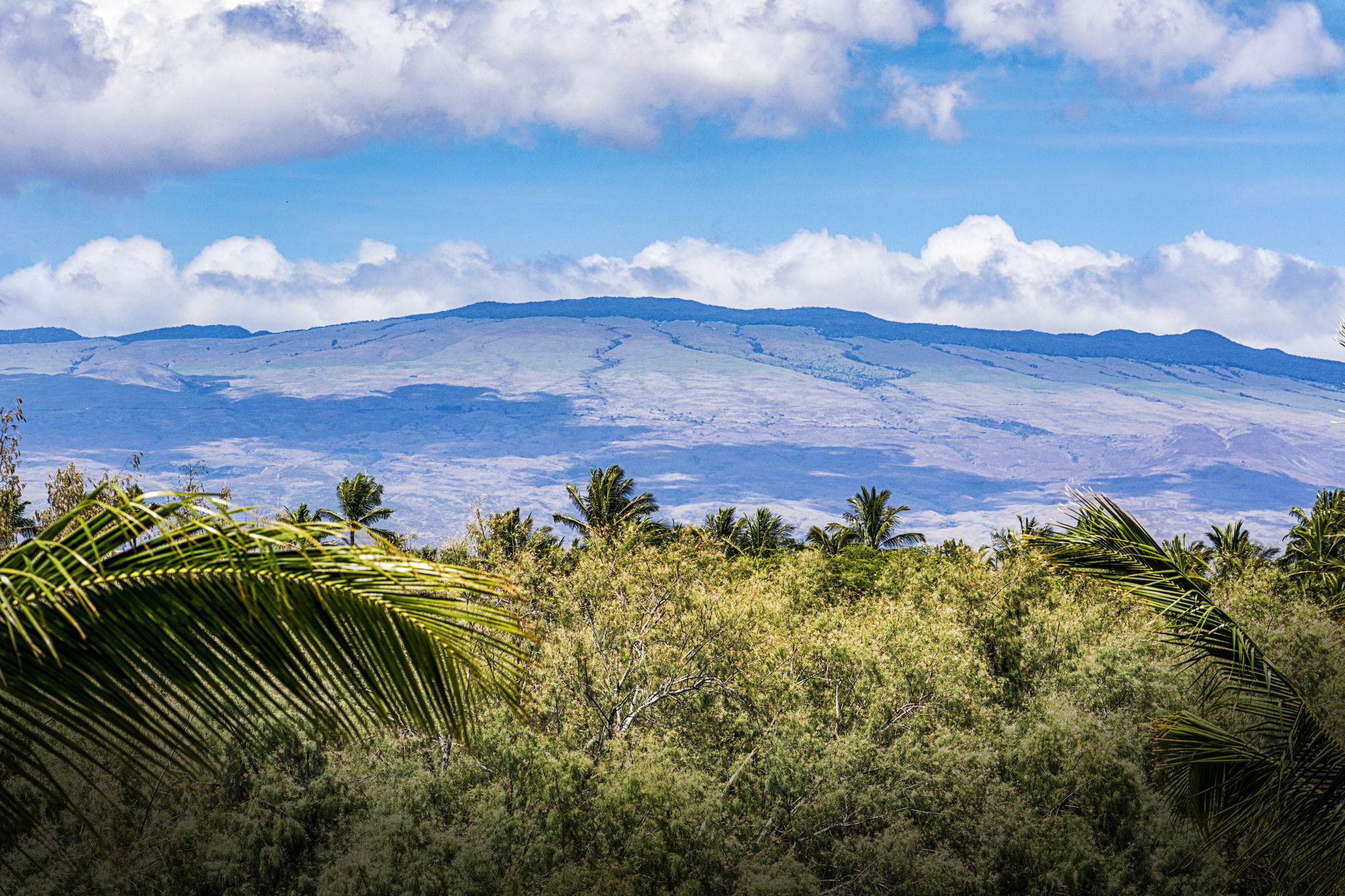 Mountain Views