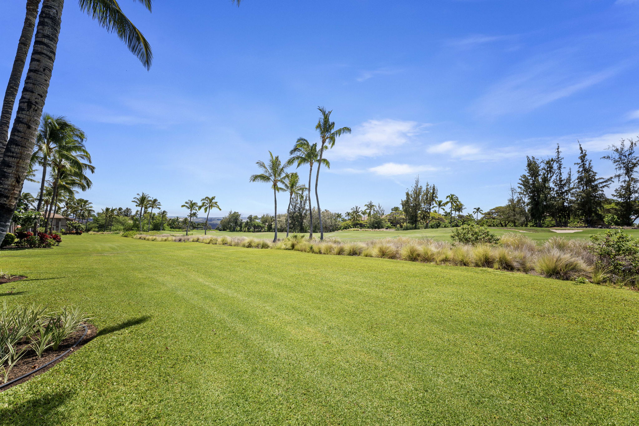 Lanai Views 1