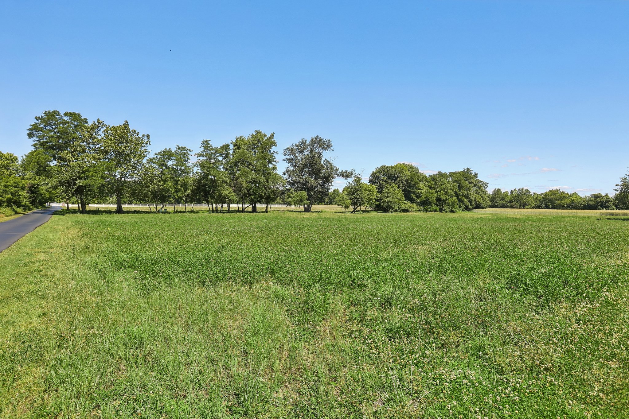 Eayrestown Rd-S1706-054.jpg
