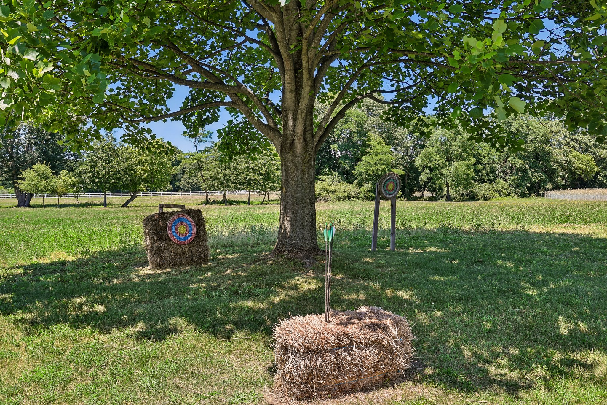 Eayrestown Rd-S1706-064.jpg