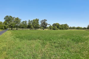 Eayrestown Rd-S1706-054.jpg