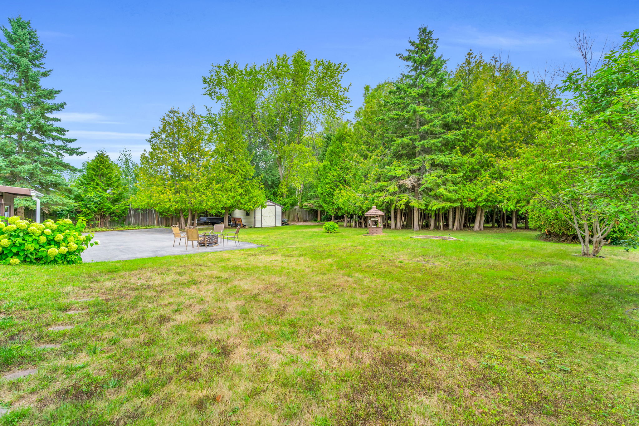 Backyard