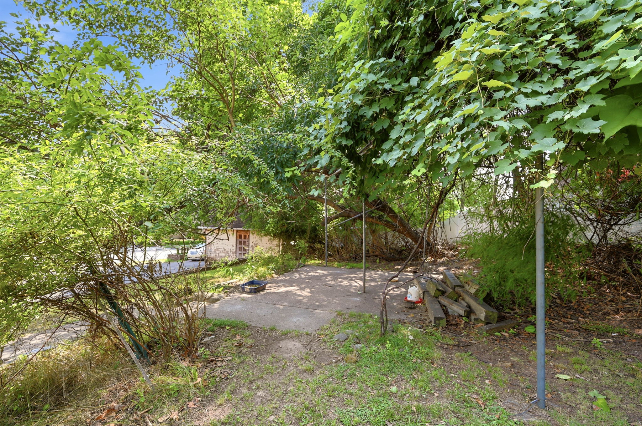  Photo 45