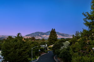  69 St Thomas Ct, Pleasant Hill, CA 94523, US Photo 37