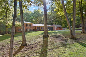  Photo 0