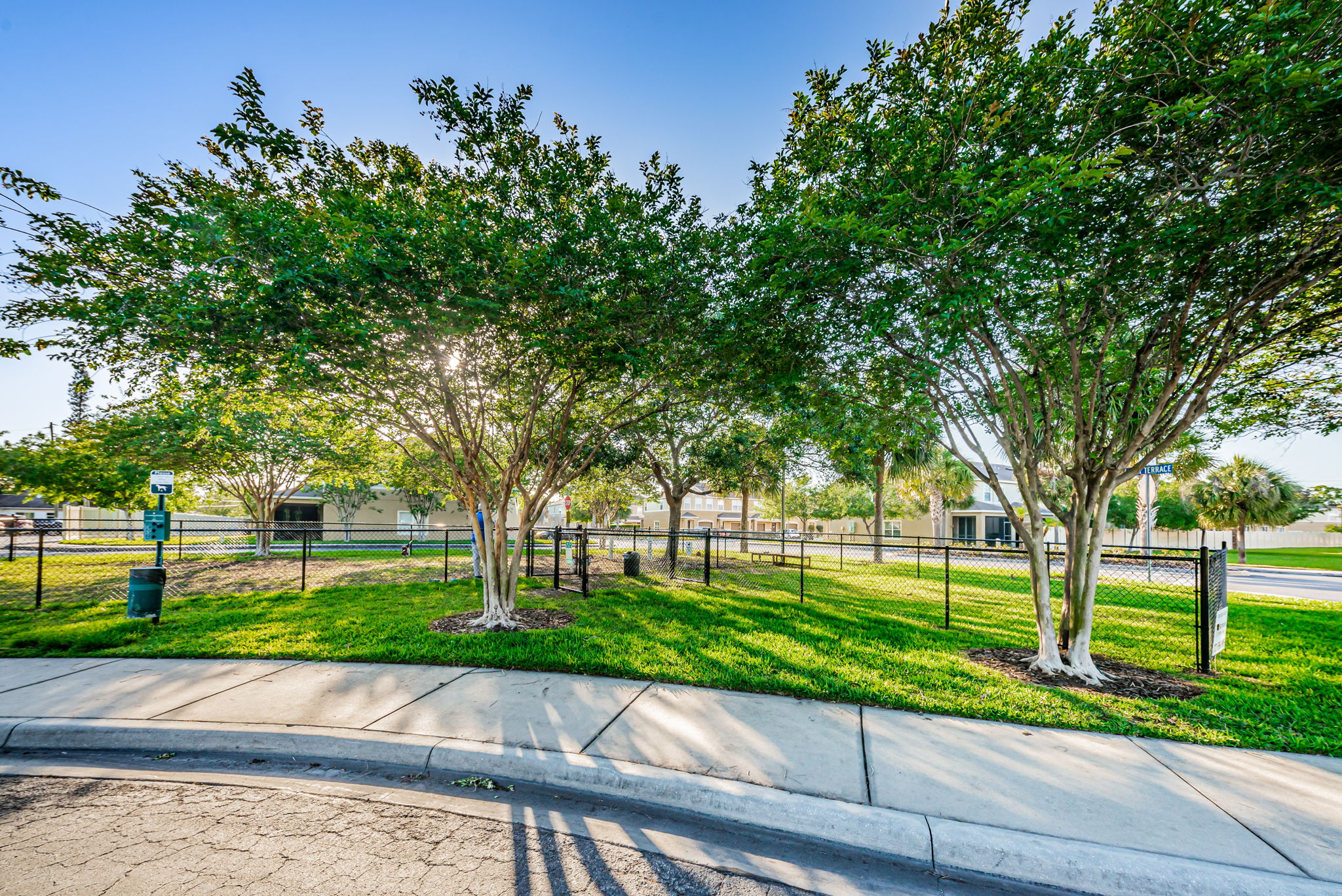 10-Dog Park