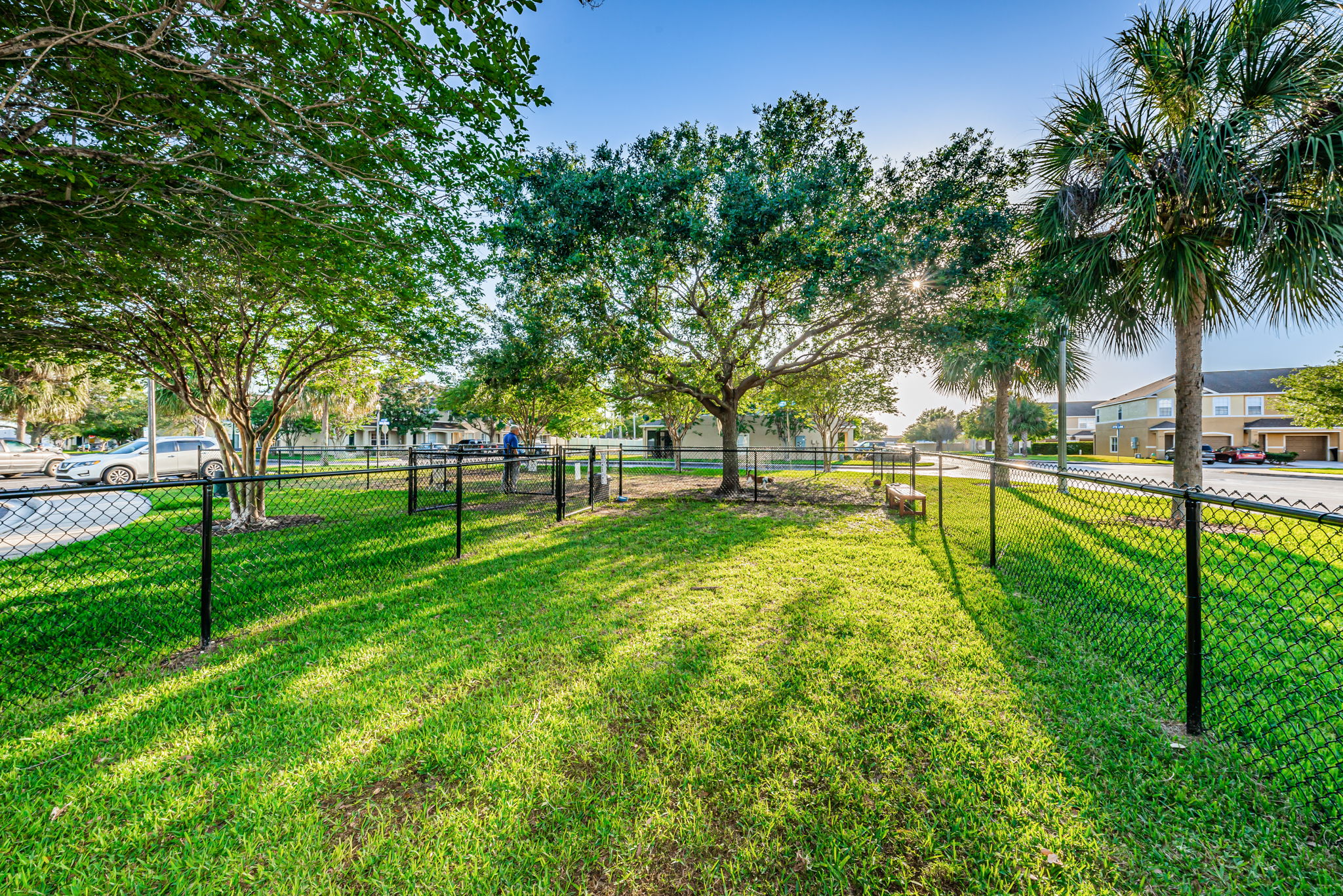 13-Dog Park