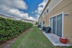 Backyard2