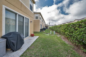 Backyard3