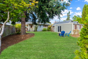 Expansive backyard