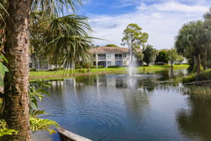 Water Feature