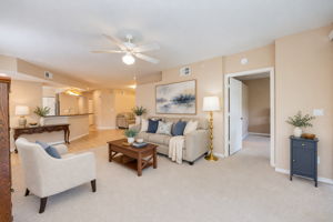 Virtually Staged Living Room