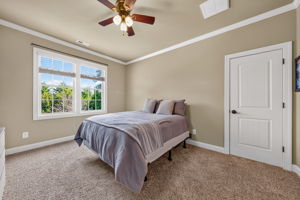  Photo 55