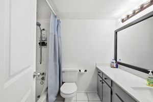 Hall Bathroom