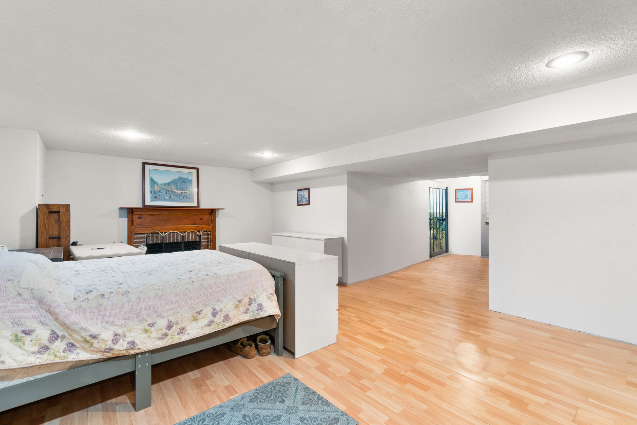 Lower Level Recreation/ Flex Space