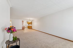 Paradise Way-S1303-005.jpg