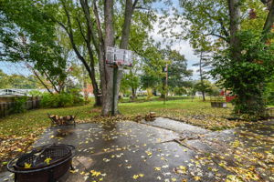 Basketball court/goal