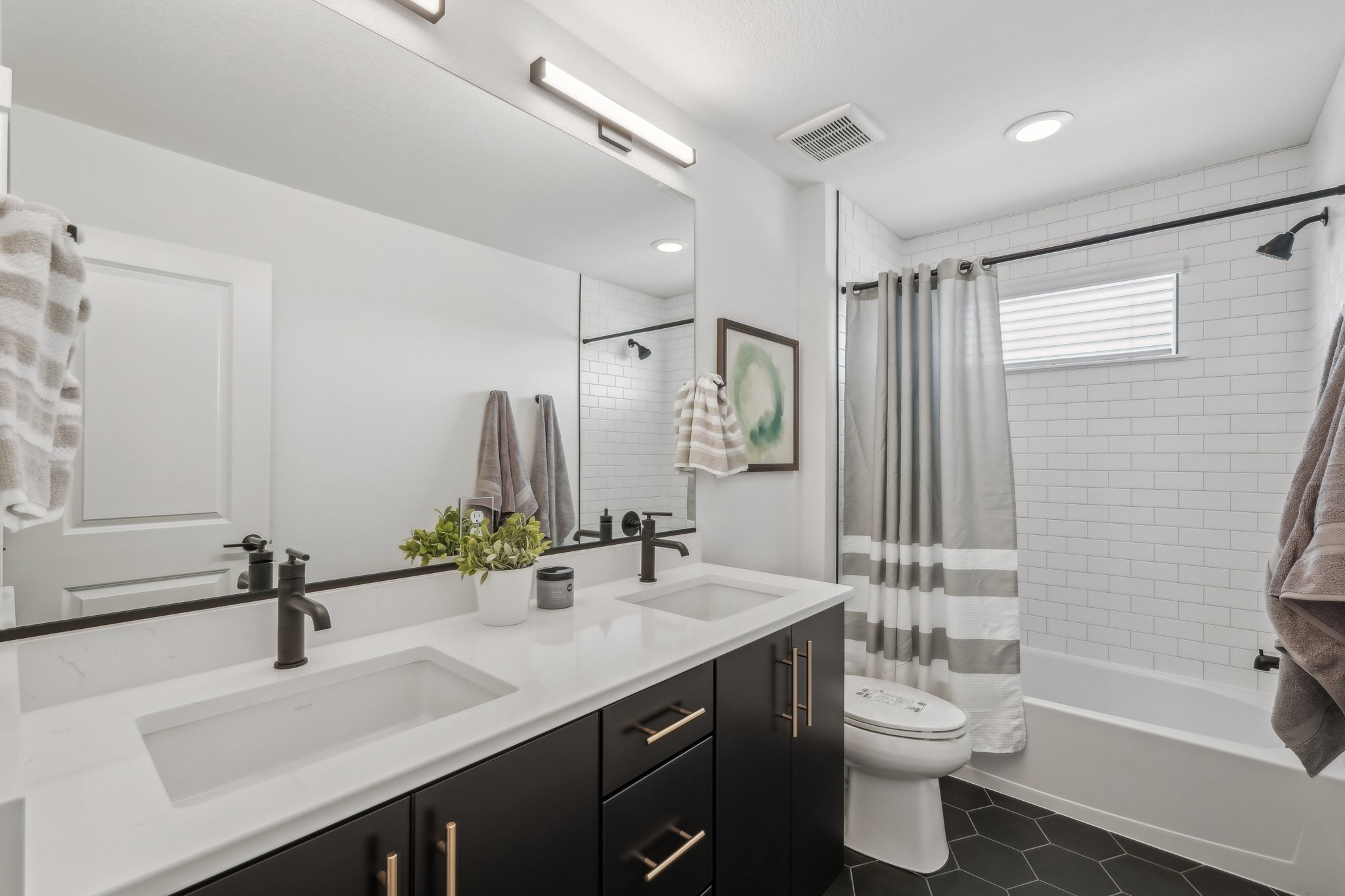 Knapp Dr-2305-024.jpg