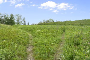  Photo 44