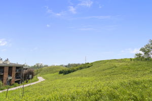 Photo 50