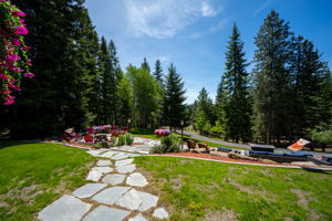  Photo 49