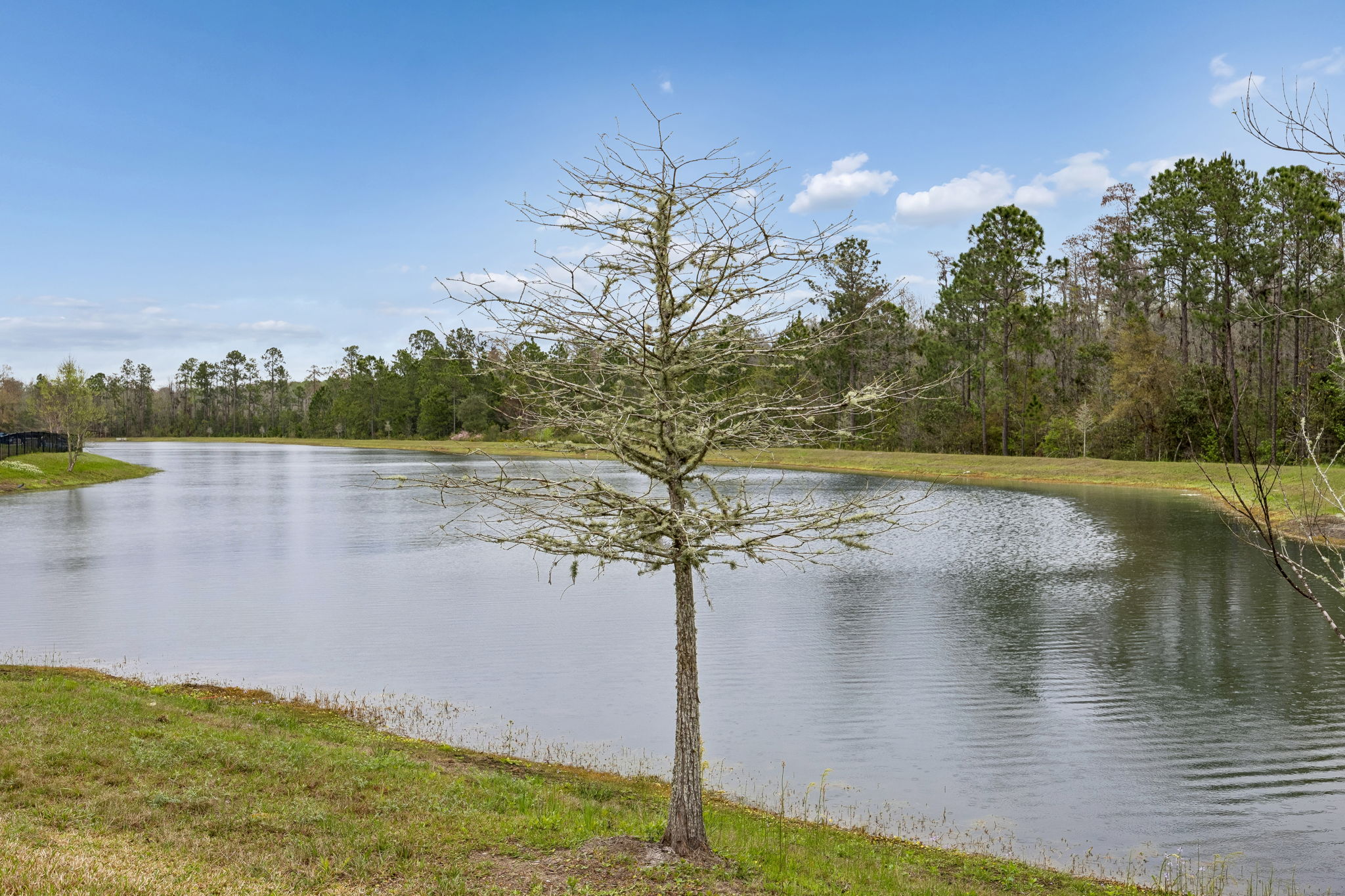 Lagoon