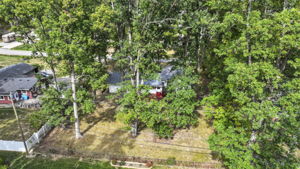 Photo 42